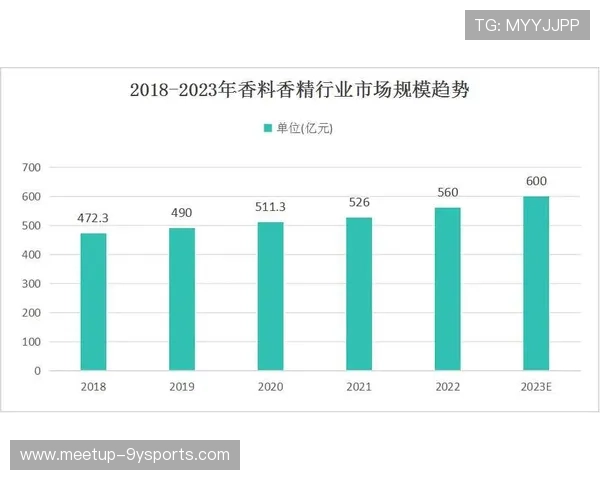 斯图加特俱乐部的历史沿革与未来发展展望分析